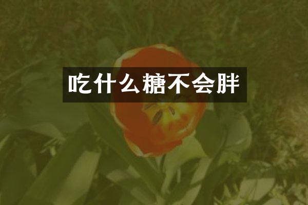 吃什么糖不会胖