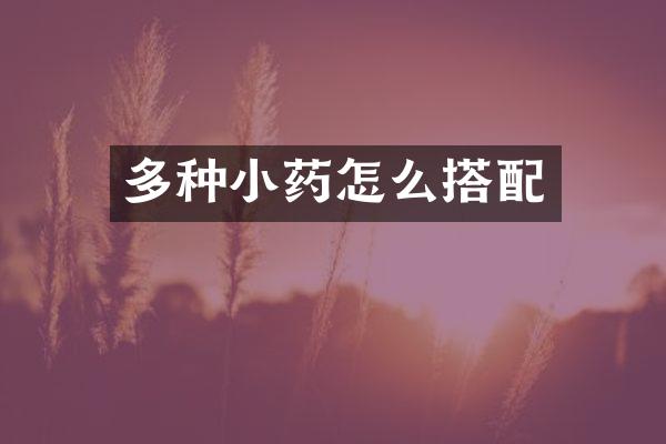 多种小药怎么搭配
