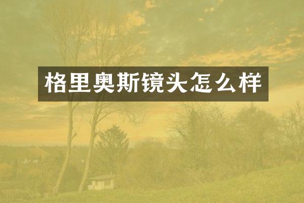 格里奥斯镜头怎么样
