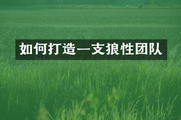 如何打造一支狼性团队