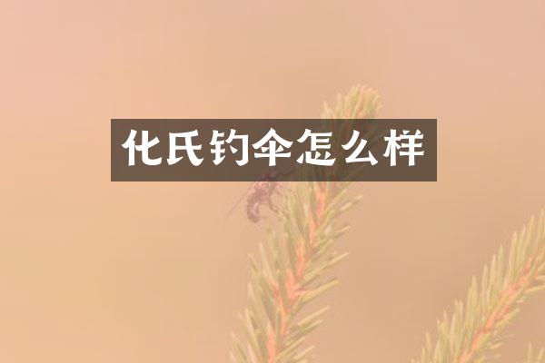 化氏钓伞怎么样