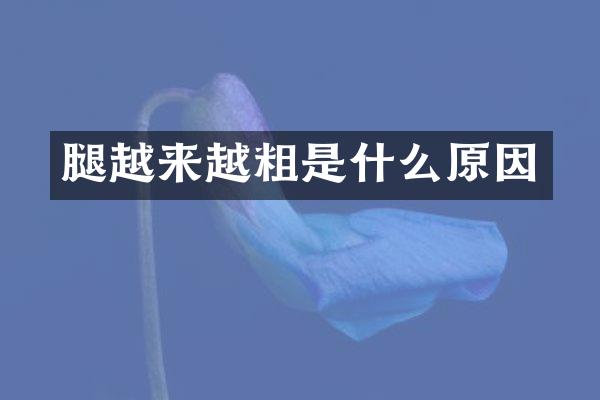 腿越来越粗是什么原因
