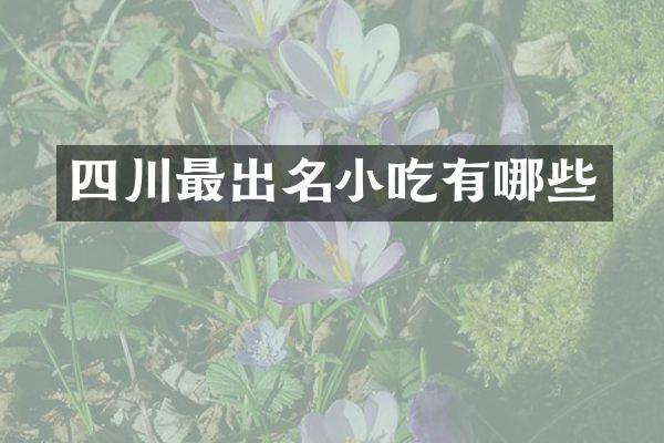 四川最出名小吃有哪些