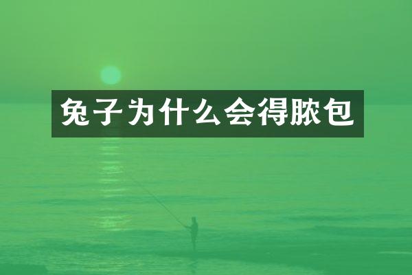 兔子为什么会得脓包