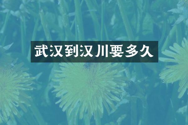 武汉到汉川要多久
