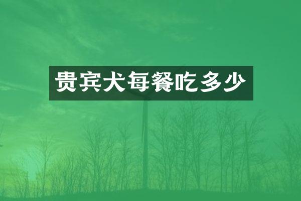 贵宾犬每餐吃多少