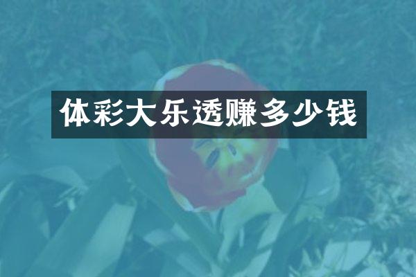 体彩大乐透赚多少钱