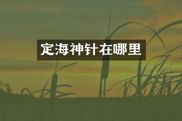 定海神针在哪里