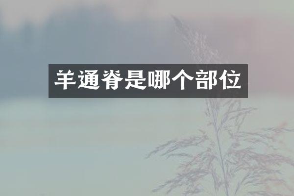 羊通脊是哪个部位