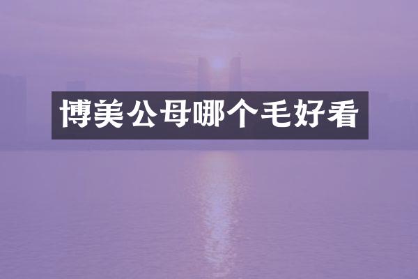 博美公母哪个毛好看