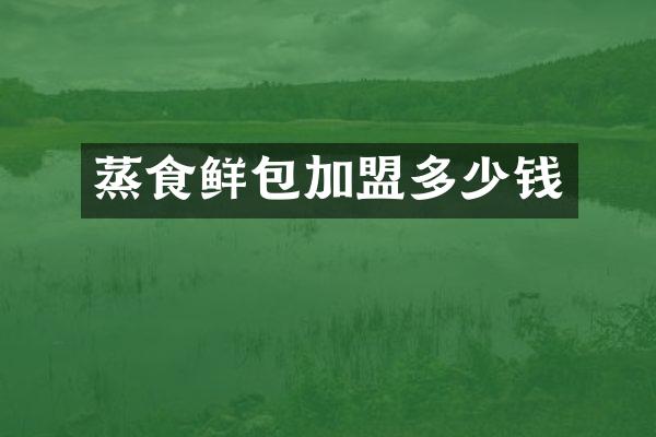 蒸食鲜包加盟多少钱
