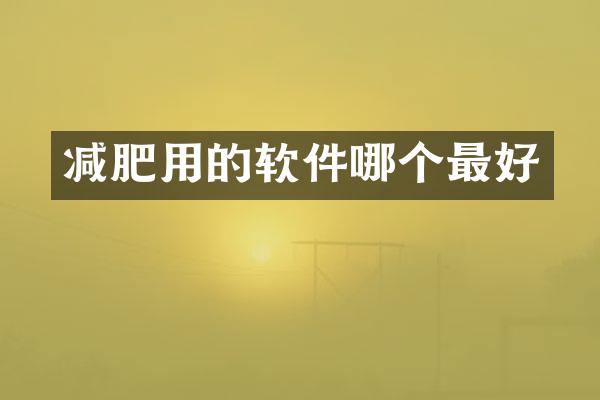 减肥用的软件哪个最好
