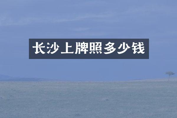 长沙上牌照多少钱