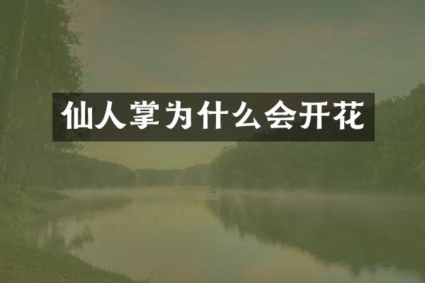 仙人掌为什么会开花