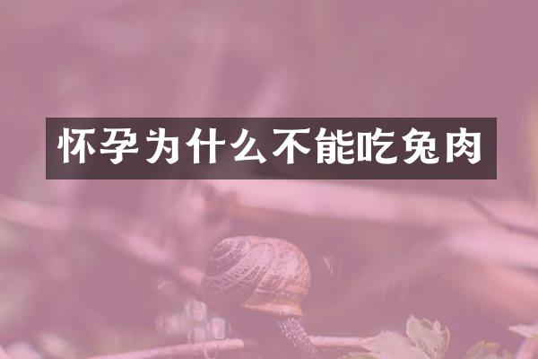怀孕为什么不能吃兔肉