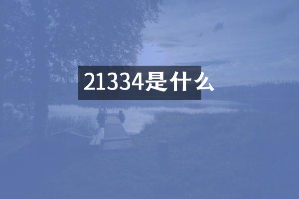 21334是什么