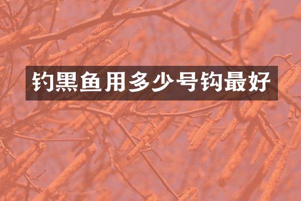 钓黑鱼用多少号钩最好