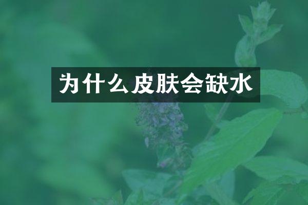 为什么皮肤会缺水
