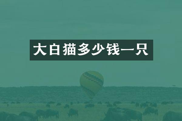 大白猫多少钱一只