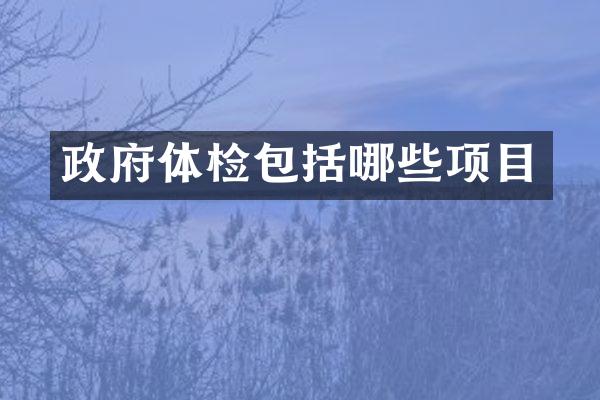 政府体检包括哪些项目