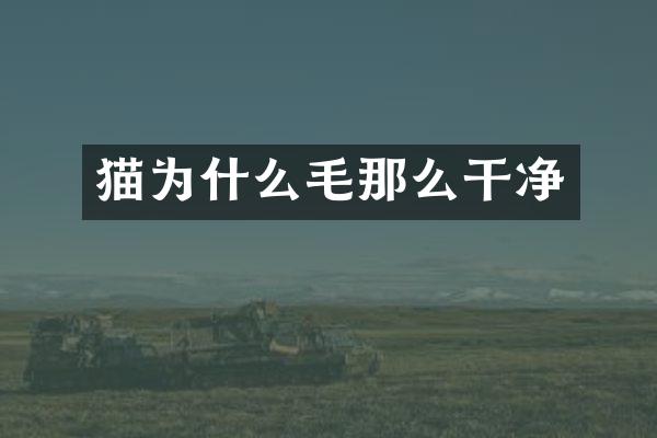 猫为什么毛那么干净