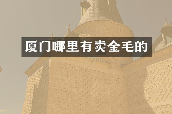 厦门哪里有卖金毛的