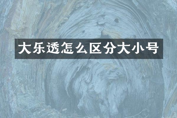 大怎么区分大小号