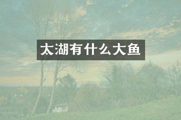 太湖有什么大鱼