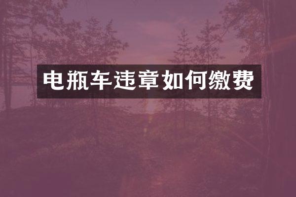 电瓶车违章如何缴费