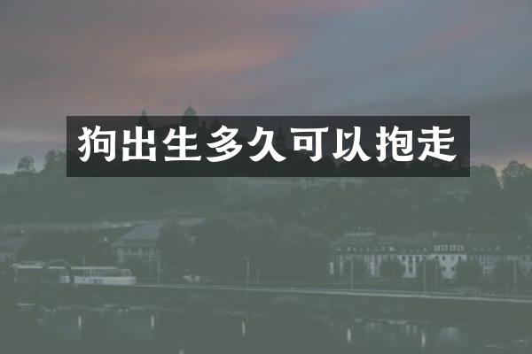 狗出生多久可以抱走