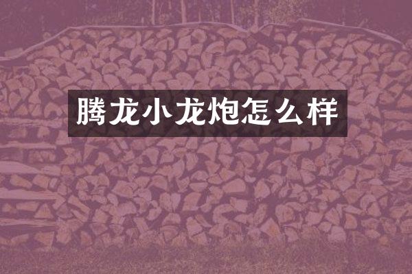 腾龙小龙炮怎么样