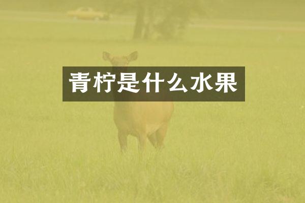 青柠是什么水果