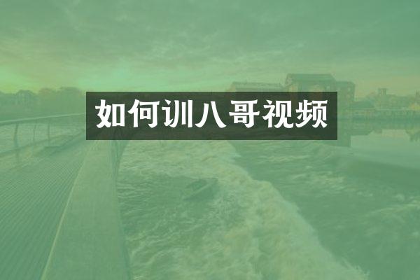 如何训八哥视频