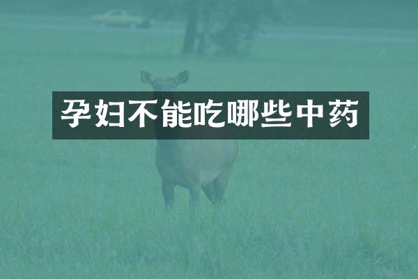 孕妇不能吃哪些中药