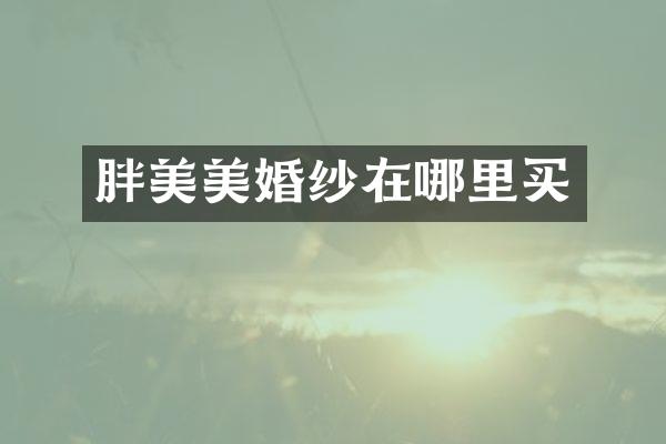 胖美美婚纱在哪里买