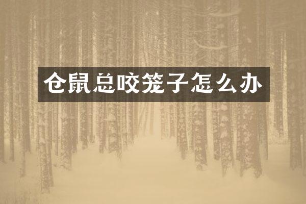 仓鼠总咬笼子怎么办