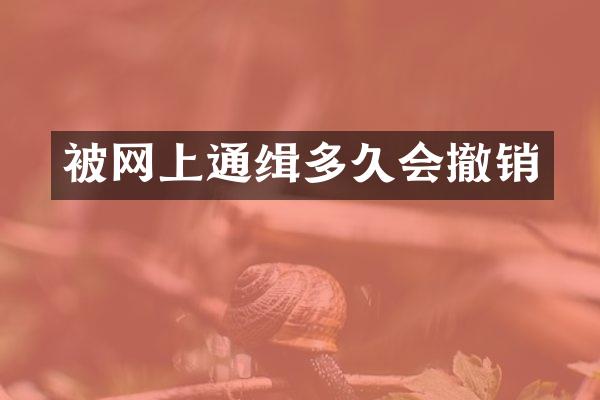 被网上通缉多久会撤销