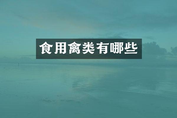 食用禽类有哪些
