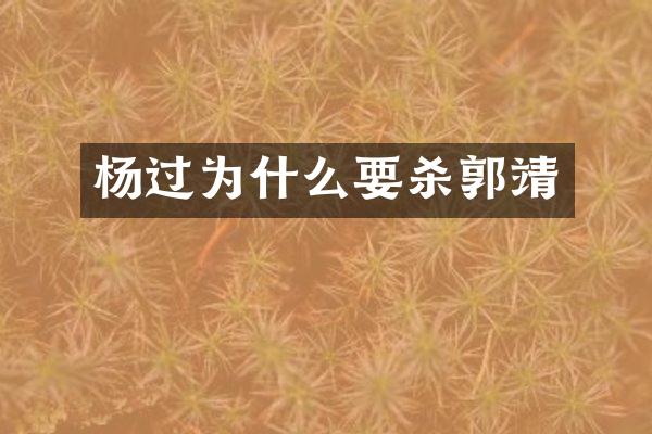 杨过为什么要杀郭靖