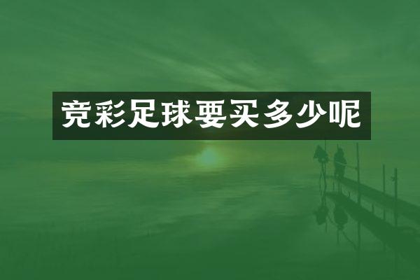 竞彩足球要买多少呢