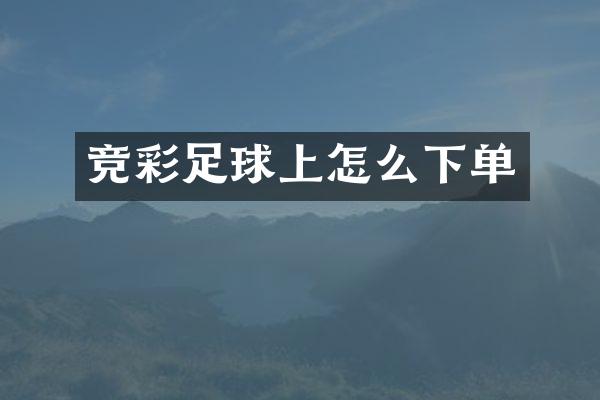 竞彩足球上怎么下单