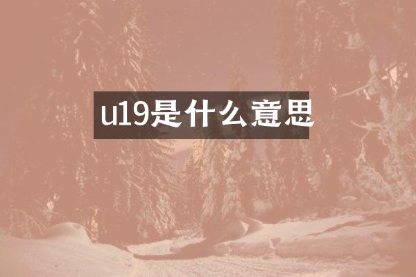 u19是什么意思