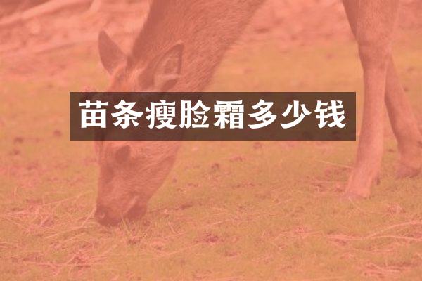 苗条瘦脸霜多少钱