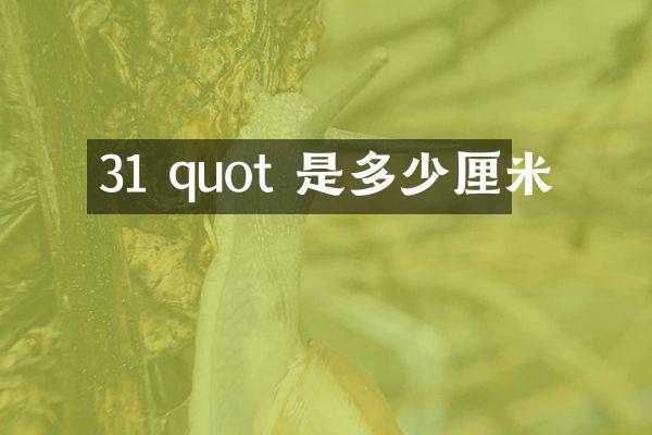31 quot 是多少厘米