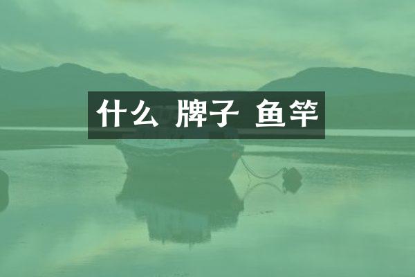 什么 牌子 鱼竿