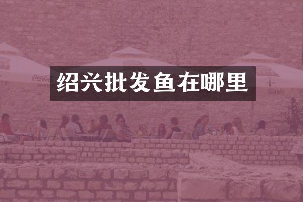 绍兴批发鱼在哪里