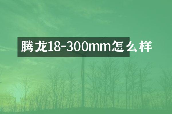 腾龙18-300mm怎么样