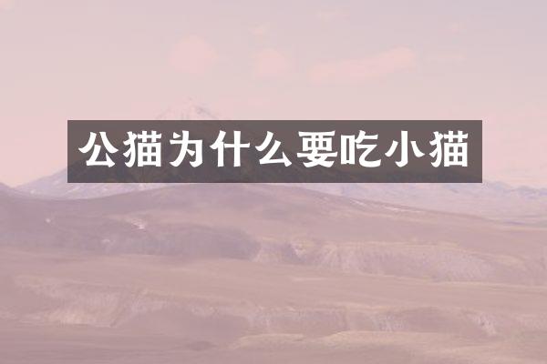 公猫为什么要吃小猫