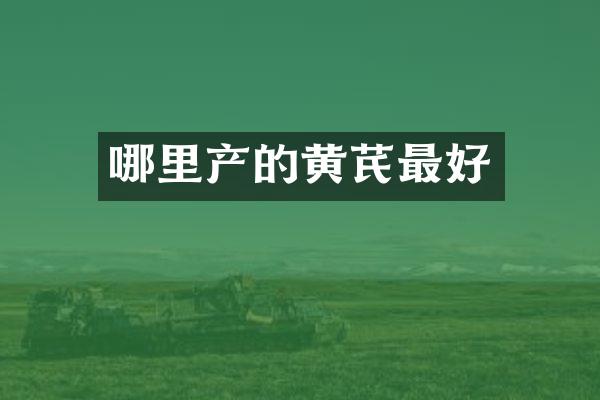 哪里产的黄芪最好