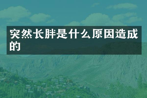 突然长胖是什么原因造成的